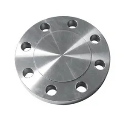 ANSI 150 SS Blind Flanges