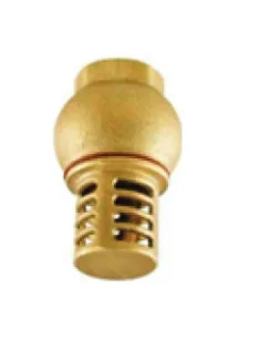 Brass Foot Valve