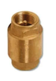 Europa Brass Spring Check Valve