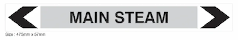 S06 - MAIN STEAM