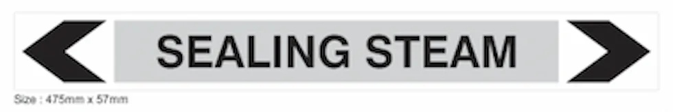 S08 - SEALING STEAM
