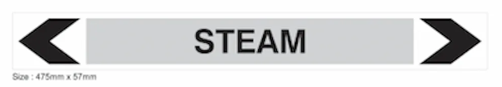 S09 - STEAM